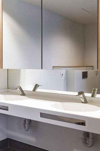 Produits DELABIE installés Mitigeur d'évier à bec orientable et levier long - référence 2210LBEL Mitigeur d'évier à bec orientable et douche extrac...