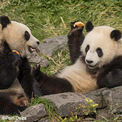 Ecologie et durabilité