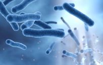 Hygiëne en preventie van infecties gekoppeld aan water